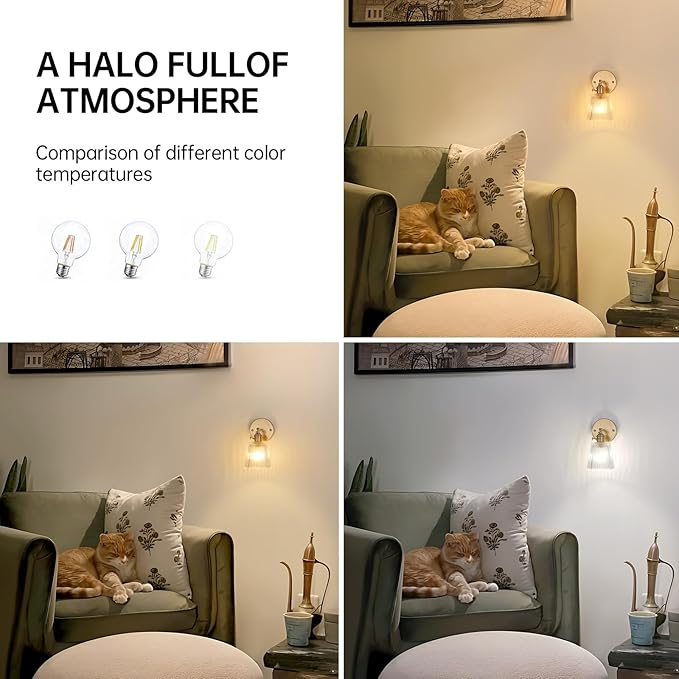Shenmoyl Vintage Wall Sconces with Transparent Stripe Glass Lampshade 180 Degree Adjustable Brass Sconces Hradwired Modern Wall Lighting Fixture with Switch for Bedside Bedroom Doorway