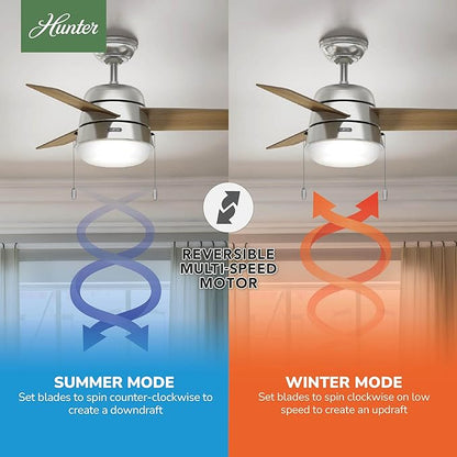 Hunter 36 inch Small Indoor Ceiling Fan with LED Light and Pull Chain - Modern Ceiling Fan, Standard Mount, 3 Blades, For Bedroom, Home Office, or Laundry Room, Quiet - Aker 59303, Brushed Nickel