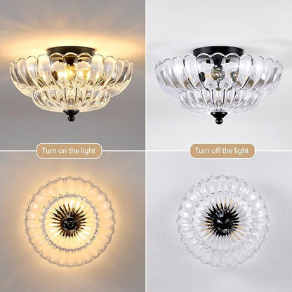Modern Black Ceiling Light Fixture, 12" Clear Glass Flush Mount Chandeliers, Semi Flush Mount Ceiling Light Fixture Suitable for Living Room Hallway Kitchen Bedroom