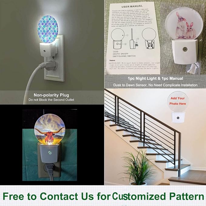 Pond Fish Night Light Two Fishes Jump Over Lake Flowers Branch Sage LED Dusk to Dawn Plug-in Nightlight Auto Sensor for Bedroom Bathroom Hallway Living Room