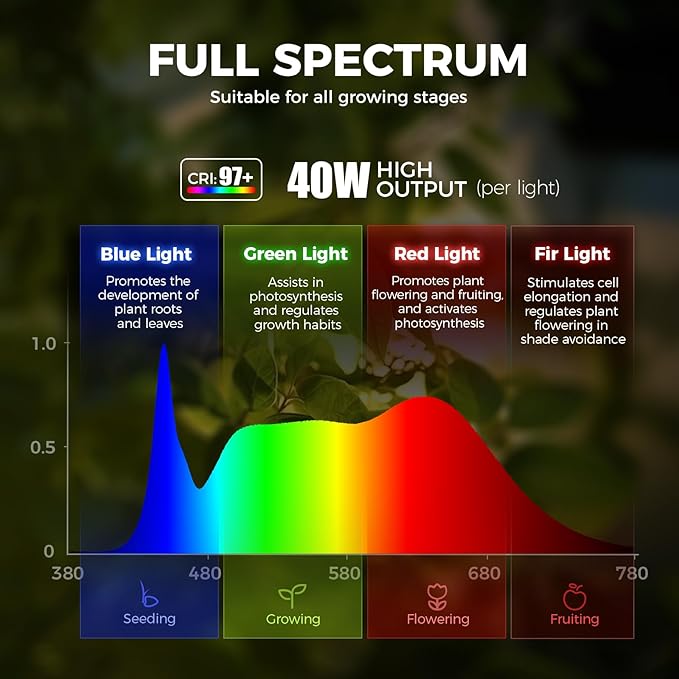 Barrina TR40c Track Grow Light for Indoor Plants, 15°-60° Adjustable Beam Angle, 3 x 40W, 4000K Full Spectrum LED Plant Lights, Plug in Ceiling Mounted Grow Bulbs for H-Type Track with Timer, White