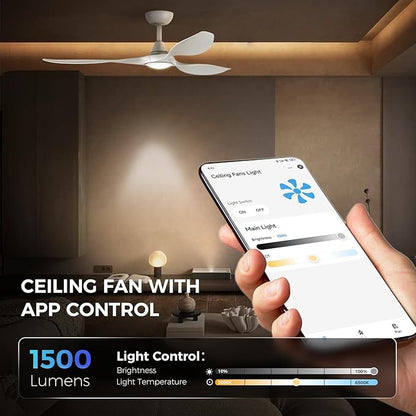 Roomratv Ceiling Fans with Lights and Remote Control,Quiet Noiseless Reversible DC Motor,6 Speeds,Timers, 3 CCT, Indoor Use, Plastic Blades,52 Inch White Ceiling Fan Smart APP Control for Living Room