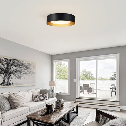Yiisem Modern Black and Gold Flush Mount Ceiling Lights, 16.5" Minimalist Glass Round Ceiling Lighting, Drum Close to Ceiling Light Fixtures for Living Room, Bedroom, Dining Room, Kitchen, Hallways