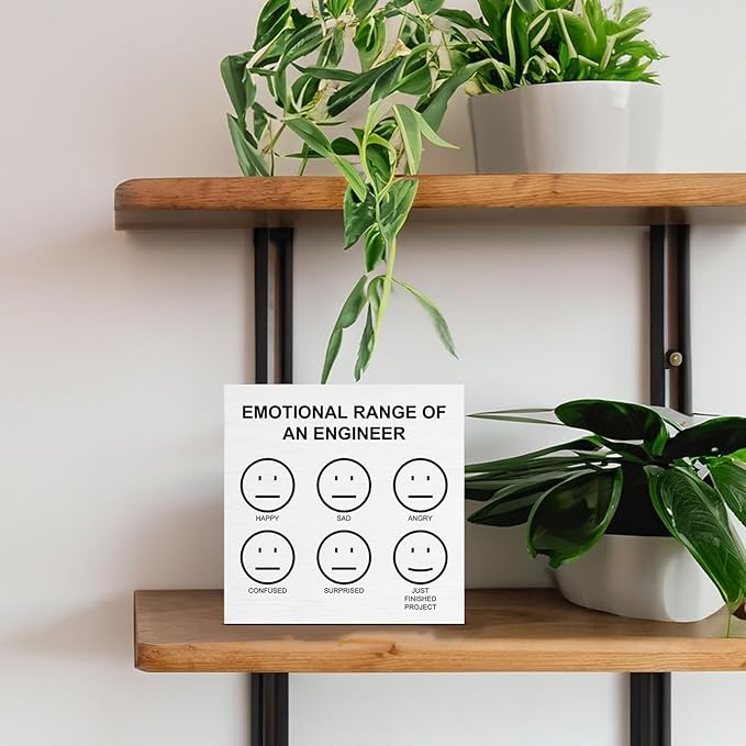 Engineer Gifts for Women Men, Funny Sarcastic Gifts for Engineers, Emotional Range of an Engineer Wooden Sign for Home Office Desk Decor 5 x 5 Inches