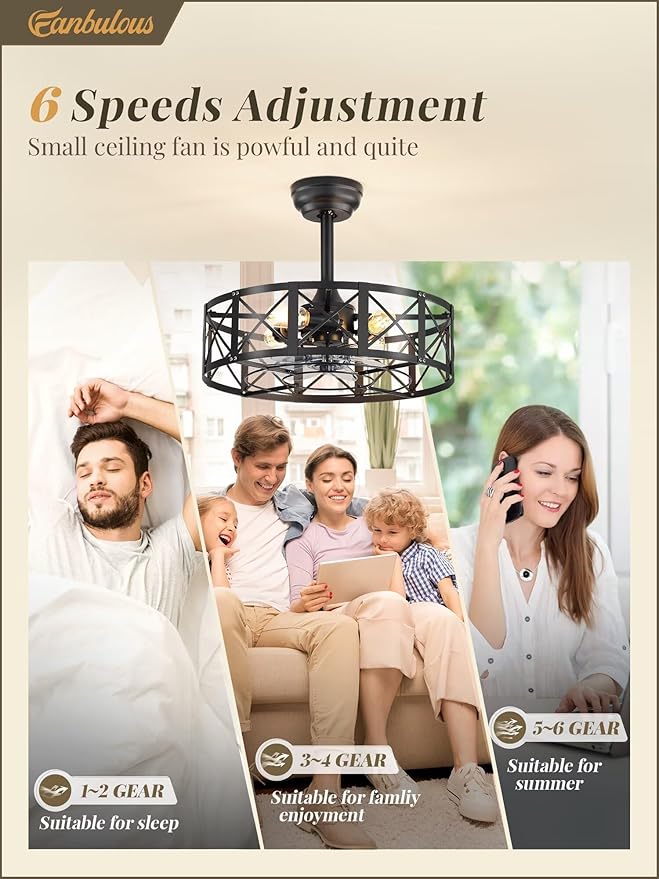 Fanbulous 20 Inch Fandelier Caged Ceiling Fans with Lights and Remote, Black Bladeless Ceiling Fan with 6 Speeds and Timing, Farmhouse Samll Fan Lights Ceiling Fixtures For Kitchen, Bedroom-Black