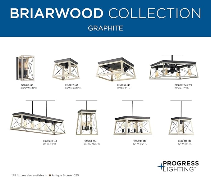 Briarwood Collection 22-Inch 3-Blade AC Motor Farmhouse Ceiling Fan Graphite