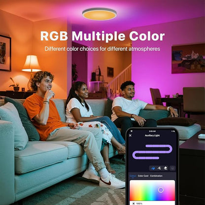 2 Pack Smart RGB Ceiling Light with Remote, 24W 2640LM, 12 Inch LED Flush Mount Ceiling Light Works with Alexa Google Home, Dimmable&2700K-6500K, Low Profile Wired Light for Bedroom Kitchen