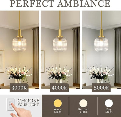 Brushed Gold Pendant Lights Kitchen Island, 1-Light 5.9" Modern Glass Pendant Light with Clear Glass and Rods, Mini Hanging Lighting for Kitchen Sink Bathroom Bedroom, OS-YQ7749-1PBG