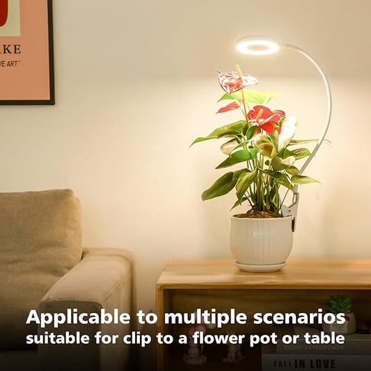 LORDEM Grow Light,Full Spectrum Pot Clip LED Plant Growth Light with Auto On/Off Timer 4/8/12H,Plant Lamp with 360°Rotatable Gooseneck, 4 Dimmable Brightness, Ideal for Small Indoor Plants, 1 Pack