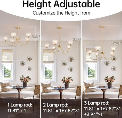 Shenmoyl 30.31" Brass Gold Chandelier, 5-Light Chandelier Light with Clear Tulip Glass Lampshade, Height Adjustable Vintage Chandeliers for Dining Room Living Room Kitchen Island
