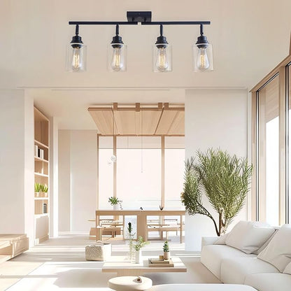 Modern 4-Light Track Lighting Fixtures Ceiling with Clear Glass Shades, E26 Base Kitchen Ceiling Light Fixture for Living Room, Bedroom & Bathroom