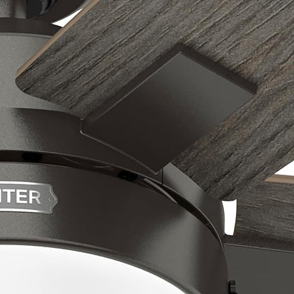 Hunter Ceiling Fan with LED Light - Black Ceiling Fan with Pull Chain, For Bedroom or Living Room, Standard Mount, No Remote, 5 Blades, Includes Bulbs - Anisten (Noble Bronze, 52 inch)