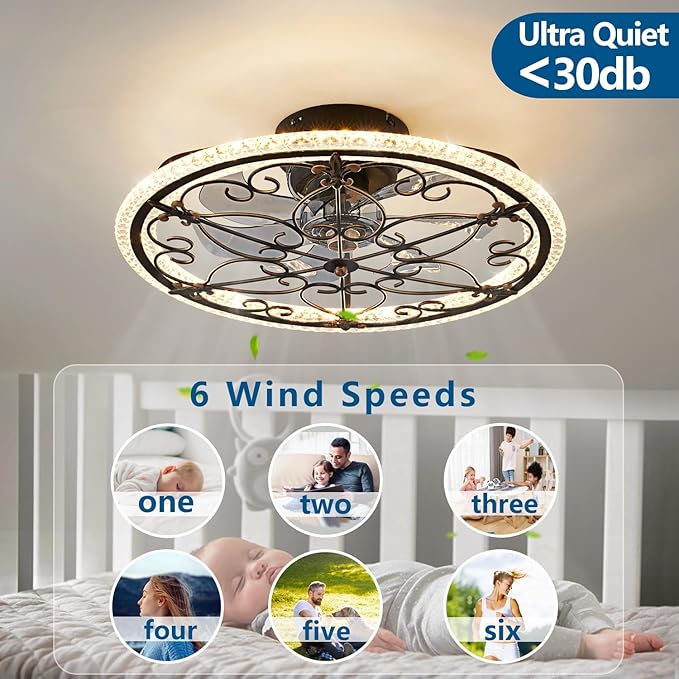 Caged Ceiling Fan with Lights Remote Control, 6 Speeds 3 Color Farmhouse Industrial Ceiling Fan with Light for Kitchen Bedroom Living Room