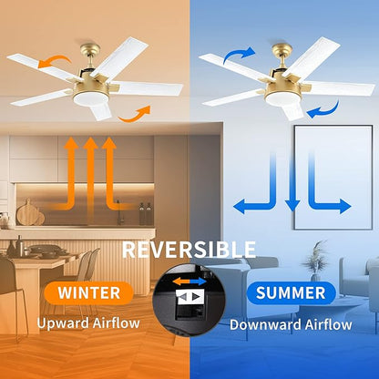 YITAHOME Ceiling Fan with Light and Wall Switch Remote, 52 Inch Modern Gold White Fan, Quiet Reversible Motor, Dimmable LED Color, Memory Function for Bedroom Living Room Patio Indoor