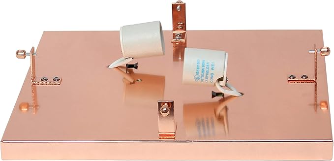 Elegant Designs FM1004-RGD Elipse Crystal 12 Inch Modern Metal 2 Light Squared Ceiling Flush Mount Fixture, Rose Gold