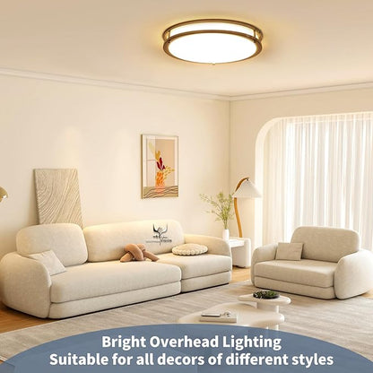 36W 12Inch LED Ceiling Light Fixtures, Flush Mount Light Fixtures, 5CCT 2700K 3000K 4000K 5000K 6500K, Close to Ceiling Light for Kitchen Bathroom Kitchen Bedroom, Super Bright 3800LM, Nickel, 2 Packs
