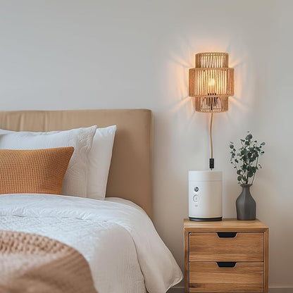 Plug-in Wall Sconces Set of 2, Handwoven Bohemian Wall Decor with Switch, Wall Lights Fixtures for Bedroom Living Room Hallway Porch