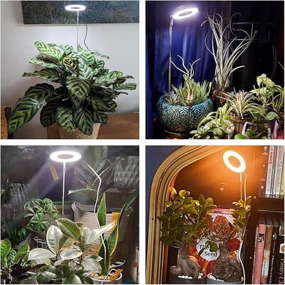 Aokrean Plant Grow Light, 48LEDs Full Spectrum Grow Lights for Indoor Plants, Height Adjustable Grow Lamp with Base, 3 Optional Spectrums, 3/9/12Hrs, 10 Brightness, Ideal for Small Plants, 1 Pack