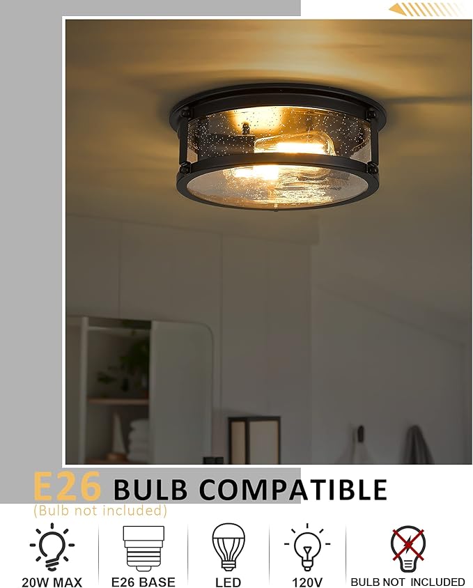 2-Light Flush Mount Light Fixtures，12inch Vintage Industrial Light Fixtures Ceiling Mount with Metal Cage for for Hallway Corridor Kitchen Bathroom Bedroom Passway - Black 2PK