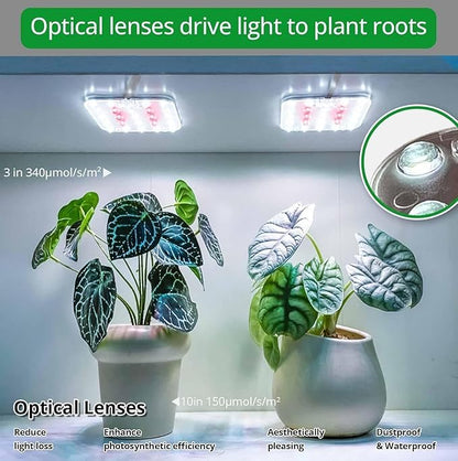 Full Spectrum LED Grow Light for Indoor Plants, 2 Panels 10W with 6/12/16h Timer Dimmable Plant Lights for Flower Veg Plant Growth USB, Natural White, 1-Pack