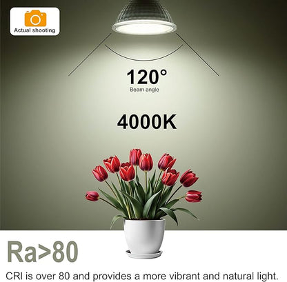 MR16 GU5.3 LED Bulbs, 6.5W Neutral White 4000K Light Bulbs, 60W Halogen Bulb Equivalent, AC/DC12V Low Voltage Bulb, 580Lm Spotlight Bulbs, Non-dimmable, 120° Beam Angle, Pack of 6