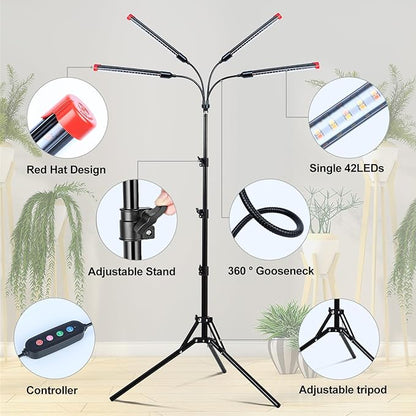 FRGROW 4Head Grow Light with Stand for Tall Indoor Plants, Bonsai Tree, Bright Full Spectrum Plant Growing Lamps, 4/8/12/16/20H Timer, 36 Watt Power Draw, NO Need Adapter, 360° Gooseneck