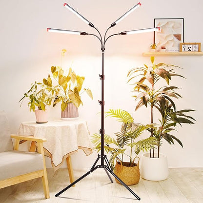 FRGROW 4Head Grow Light with Stand for Tall Indoor Plants, Bonsai Tree, Bright Full Spectrum Plant Growing Lamps, 4/8/12/16/20H Timer, 36 Watt Power Draw, NO Need Adapter, 360° Gooseneck