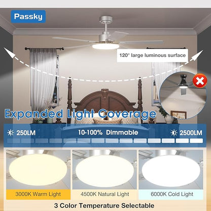 Passky Ceiling Fans with Lights, 52 inch Sleek Ceiling Fan with Light and Remote Control, 3CCT, Dimmable, Reversible, Noiseless, Silver Ceiling Fan for Bedroom, Living Room