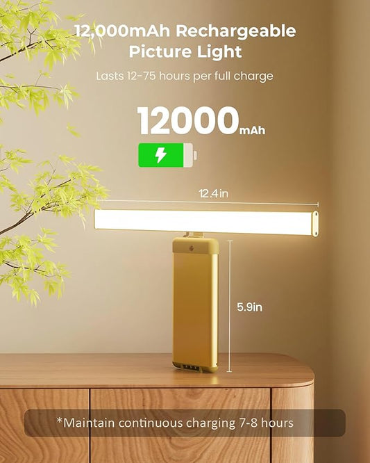 Picture Light for Wall with Remote, Picture Lights Battery Operated Rechargeable 12000mAh, 3 Colors & 3 Timers, Brightness Dimmable for Gallery Poster Frame Painting Photo Art Display (Gold, 1 Pack)