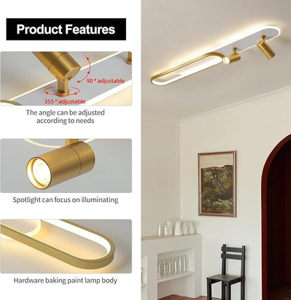 Modern LED Ceiling Light 47.2 Inch Linear Ceiling Lights with Remote Control Adjustable Light 3000K/4500k/6000K Gold Long Ceiling lamp for Living Room Kitchens Bedroom Dining Rooms Office