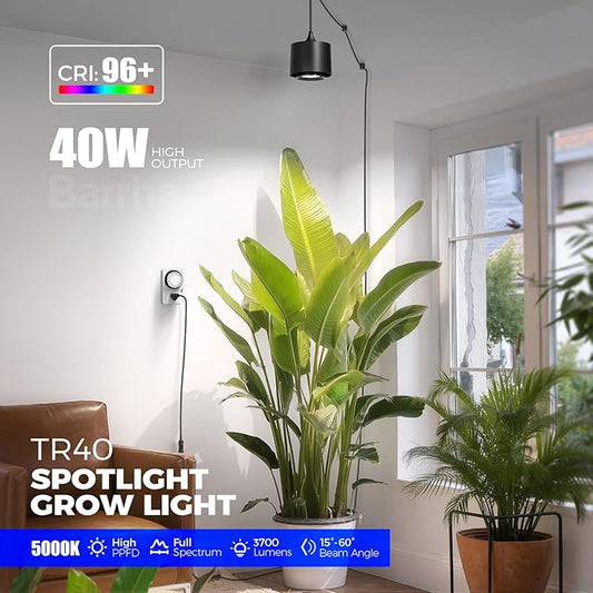 Barrina TR40 Hanging Grow Lights for Indoor Plants, 40W 5000K Full Spectrum, Adjustable Beam Angle (15°-60°), High PPFD, Spotlight Grow Light with Timer for Indoor Growing, Large Tall Plant, Flowers