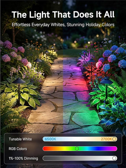 RGBCW Smart Low Voltage Path Light, 12v Black Landscape Lighting with Bluetooth APP Control, Dimmable Warm/Daylight 2700K-6500K G4 Bulb, Large Hat IP65 Waterproof for Walkway Yard 1 Pack
