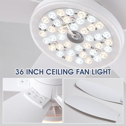 Surtime Flush Mount RGB Ceiling Fans with Lights-36 Low Profile Ceiling Fan with Light and Remote/APP Control,DC Reversible,LED Dimmable Ceiling Fans for Bedroom,Indoor/Outdoor Patio Use(White)