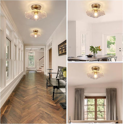 Chandelier, Flush Mount Ceiling Light, Clear Glass Shade Light Fixture, 1 Light Lighting Fixture for Bedroom,Dining Room,Kitchen, Hallway (Clear 4111CL)