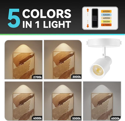 2-Pack LED Ceiling Spotlight 5-Color Dimmable 10W White Adjustable Directional Flush Mount Ceiling Spot Lights, 24° Beam Angle 1000lm CRI90+ Flicker-Free, Perfect for Art, Picture, Kitchen