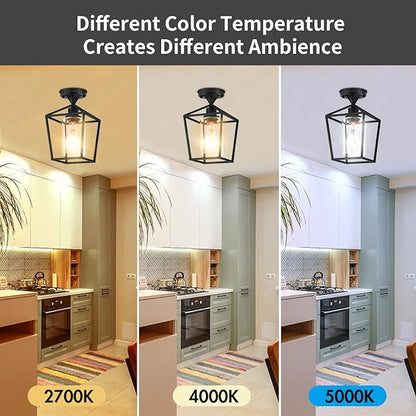 Melovom Clear Glass Semi Flush Mount Industrial Vintage Ceiling Light Fixtures, Black for Hallway, Porch, Dining Room, Kitchen