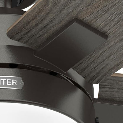 Hunter Ceiling Fan with LED Light - Black Ceiling Fan with Pull Chain, For Bedroom or Living Room, Standard Mount, No Remote, 5 Blades, Includes Bulbs - Anisten (Noble Bronze, 44 inch)