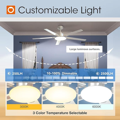 addlon Ceiling Fans with Lights, 60 inch Silver Ceiling fan with Light and Remote Control, Reversible, 3CCT, Dimmable, Noiseless, Outdoor Ceiling Fans for Patios, living room, Indoor/Outdoor Use