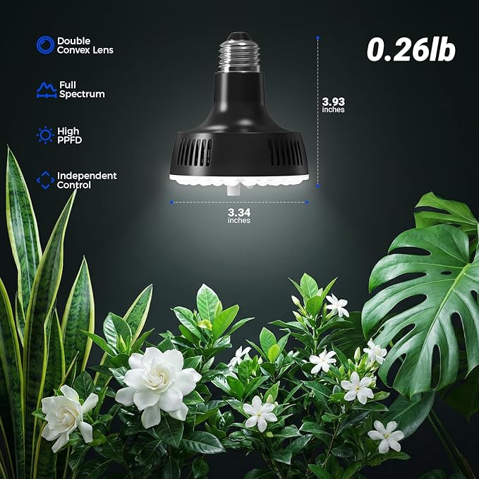 Barrina Orbgrow OG11A Grow Light Bulbs for Indoor Plants, Integrated Dimming & Timing, 5000K 11W(100 Watt Equiv), E26 Plant Light Bulb, Full Spectrum, High PPFD for Seeds and Greens, 1 Pack, Black