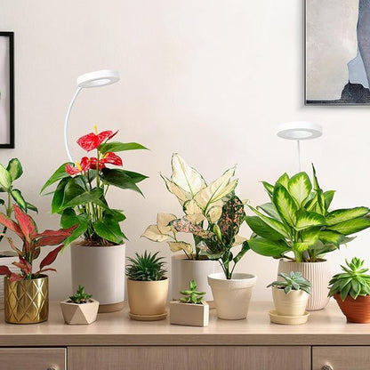 LORDEM Grow Light,Full Spectrum Pot Clip LED Plant Growth Light with Auto On/Off Timer 4/8/12H,Plant Lamp with 360°Rotatable Gooseneck, 4 Dimmable Brightness, Ideal for Small Indoor Plants, 2 Pack