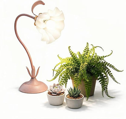 Table Top Grow Light for Indoor Plants – Decorative Desk Plant Light for Succulents Bonsai Cactus, Adjustable Desktop Grow Lights with Base, Cute Office Mini Grow Lamp
