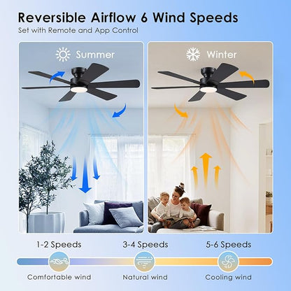 BayDay 52 inch Ceiling Fans with Lights, Black Ceiling Fan with Remote APP, Dual-Sided Modern/Rustic 6 Blades, Reversible, 3CCT, Flush Mount Low Profile Ceiling Fan with Lights Bedroom Kitchen Indoor