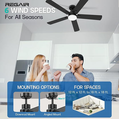 Ceiling Fan with Light 52-Inch, Remote Control Reversible DC Motors, 3CCT Dimmable Timer Noiseless, Black Ceiling Fan for Bedroom Living Room, Indoor&Outdoor ETL Listed