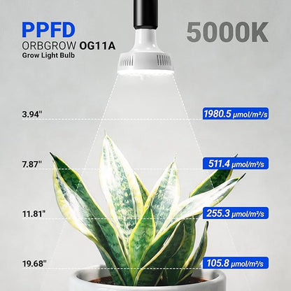 Barrina Orbgrow OG11A Grow Light Bulbs for Indoor Plants, Integrated Dimming & Timing, 5000K 11W(100 Watt Equiv), E26 Plant Light Bulb, Full Spectrum, High PPFD for Seeds and Greens, 1 Pack, White