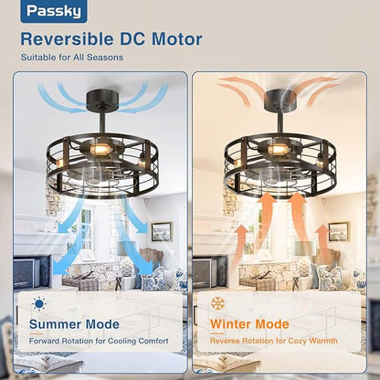 Passky 20 Inch Farmhouse Caged Ceiling Fans with Lights and Remote, Black Downrod Mount Bladeless Fandelier, 6 Speeds Bladeless Ceiling Fan Light for Bedroom, Kitchen, Living Room, Indoor
