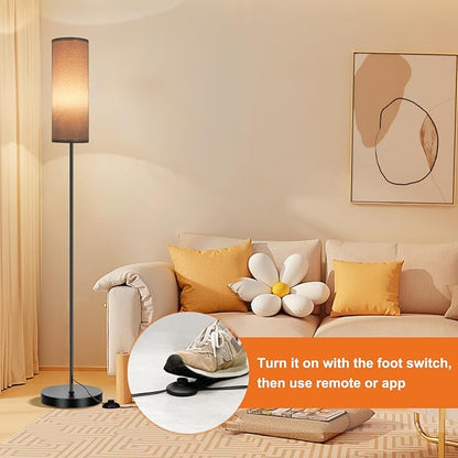 FRIDEKO HOME Gray Floor Lamps for Bedroom, Dimmable Colors Temperature & Brightness, Plug in Modern Floor Lamps for Living Room, Tall Standing Lamps for Office, Corner Lamp, 9W RGB LED Bulb