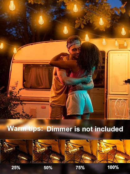 DAMAING LED String Lights Outside 36FT Weatherproof Patio Lights with 22 shatterproof dimmable Bulbs 2200K, Energy Saving Outdoor Lighting for Wedding,Party,Holiday,Backyard,2200K Black Cord.