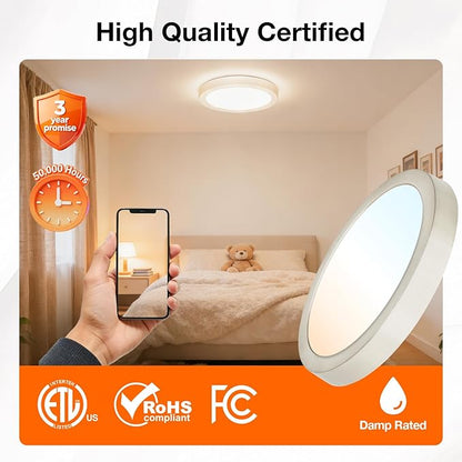 Sylvania 12" LED Flush Mount Ceiling Light Fixture, 24W, 1600 LMS, Hardwired, 3000K, Warm White, Brushed Nickel, LED Lights for Bedroom Kitchen Hallway Porch - 1 Pack (66461)