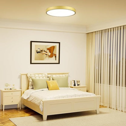 Gold Metal Flush Mount LED Ceiling Light 9 Inch 2 Pack, Dimmable 3000-5000k 20W Modern Thin Round Ceiling Light Fixture, Low Profile Ceiling Lamp for Bedroom Bathroom Entryway