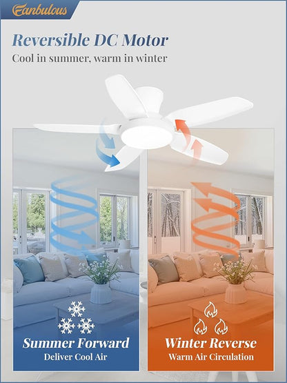Fanbulous Ceiling Fans with Lights, 42 inch Low Profile Flush Mount Ceiling Fan with Remote/APP Control,Black Modern Ceiling Fan with LED Light for Bedroom Indoor Outdoor-LED Dimmable, 3CCT, 6 Speeds